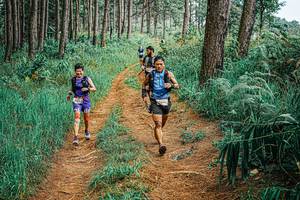 BIB: 
                            <button type="button" onclick="openModal(25653127)" class="btn btn-primary btn-sm float-right btn-popup" data-toggle="modal" data-target=".modal-high-quality">
                        <i class="fas fa-shopping-cart"></i> Add to Cart
                    </button>
                                            <button type="button" onclick="isThisMe(25653127, true)" class="btn btn-success btn-sm float-right btn-popup btn-isme hidden" data-toggle="tooltip" data-placement="bottom" title="นี่คือรูปของคุณใช่ไหม คลิกที่นี่เพื่อเอาเข้าอัลบั้ม">
                        <i class="fas fa-plus"></i> Add to album
                    </button>
                    <button type="button" onclick="isThisMe(25653127, false)" class="btn btn-warning btn-sm float-right btn-popup btn-isnotme hidden">
                        <i class="fas fa-ban"></i> Remove from album
                    </button>